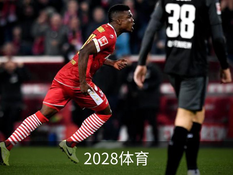 关于2028体育
